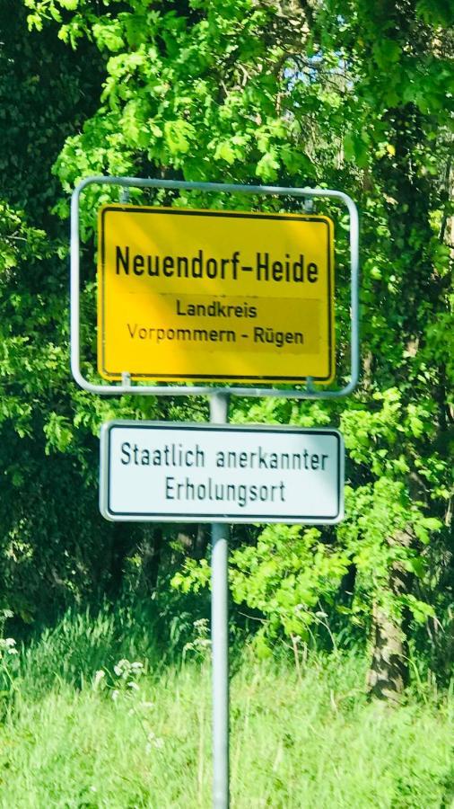 Zur Alten Boddenfischerei Heidezauber